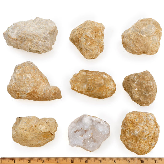 DANCING BEAR Moroccan geodes 2.5-3.5 inches showing crystals inside, inspiring curiosity and discovery.