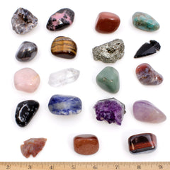 Dancing Bear premium crystal-clear display case showcasing rocks with organized labeling.