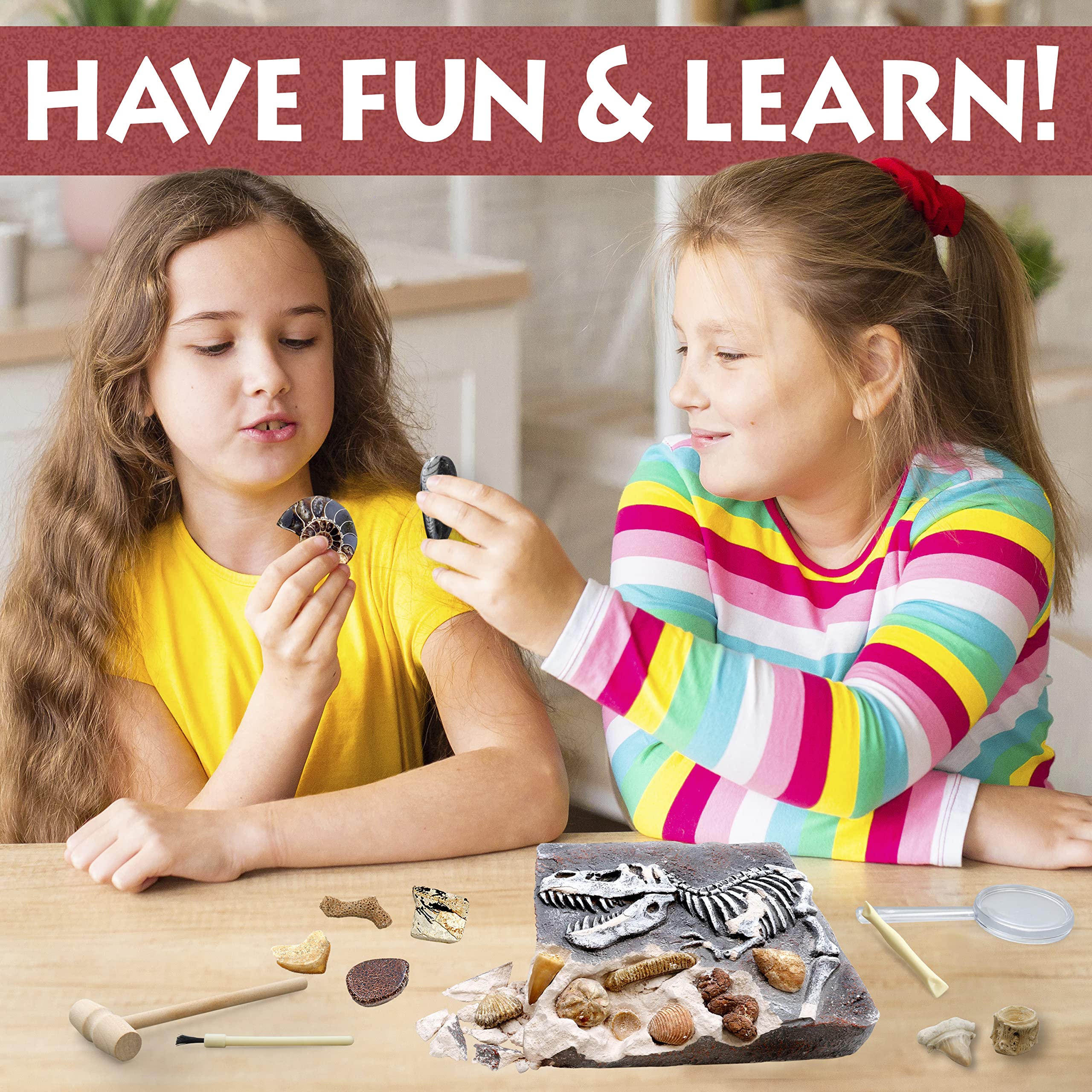 DANCING BEAR real dinosaur bones provide authentic fossil exploration experience.