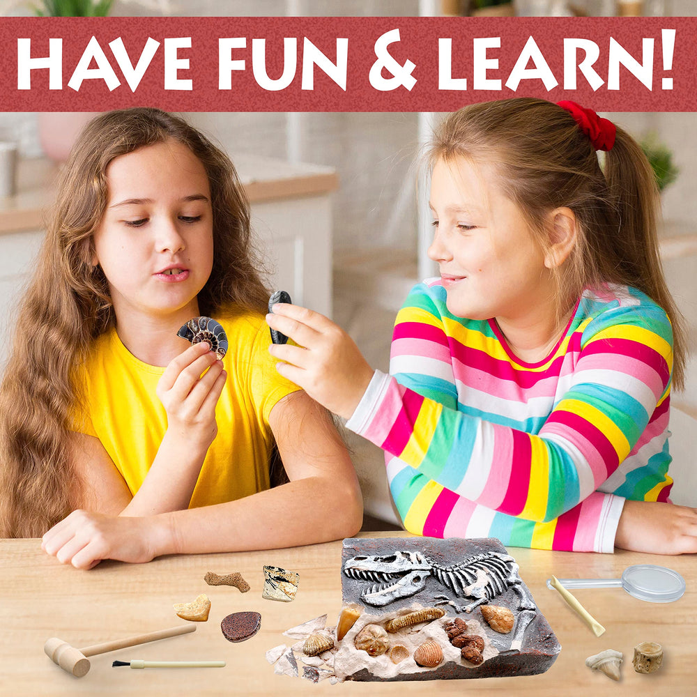 DANCING BEAR real dinosaur bones provide authentic fossil exploration experience.