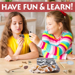 DANCING BEAR real dinosaur bones provide authentic fossil exploration experience.