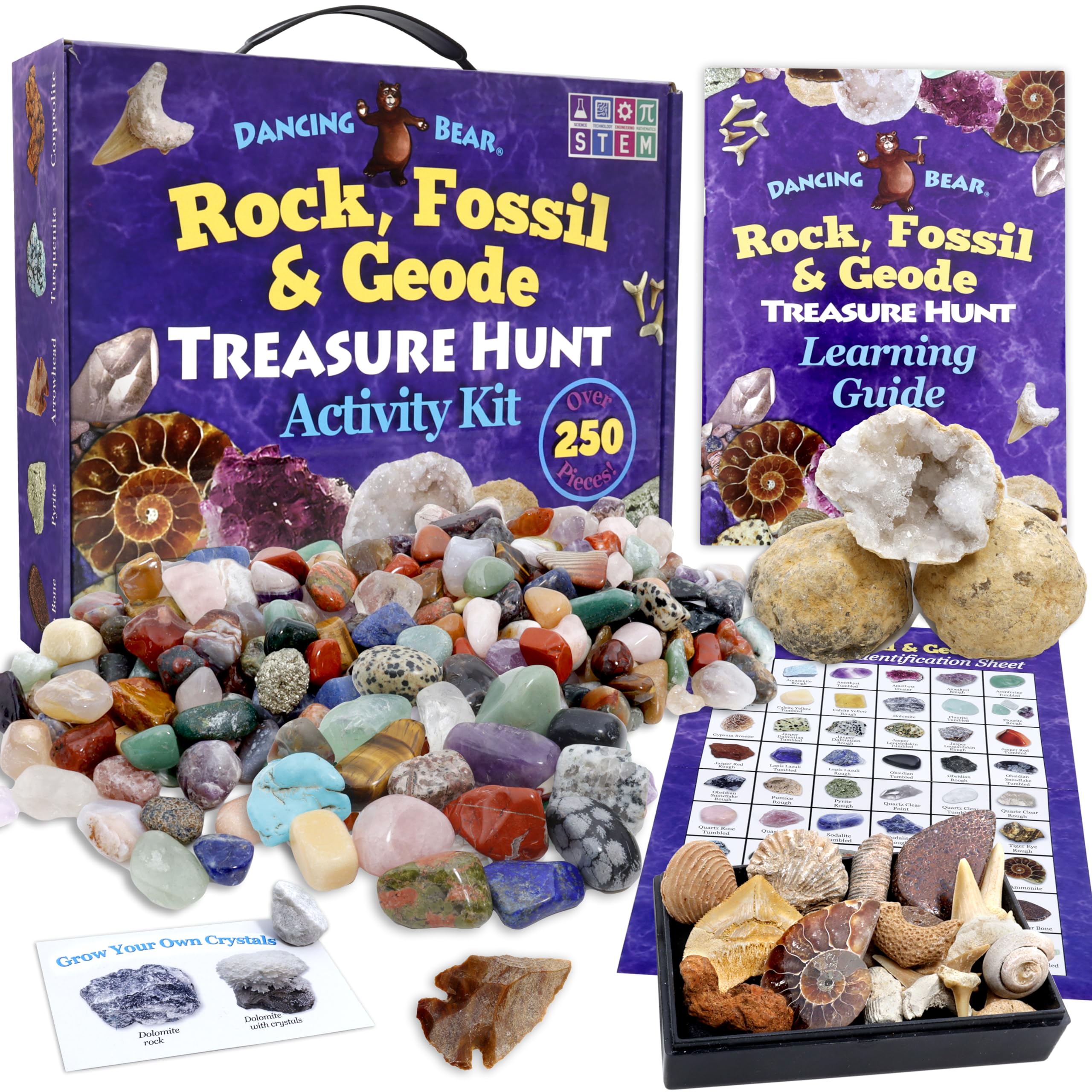 Dancing Bear rock-hunt kit promotes immersive STEM play at home