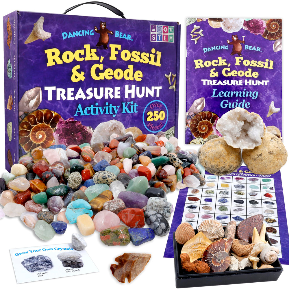 Dancing Bear rock-hunt kit promotes immersive STEM play at home