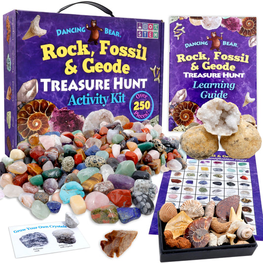 Dancing Bear Rock, Mineral & Geodes Treasure Hunt set collection supports hands-on STEM discovery
