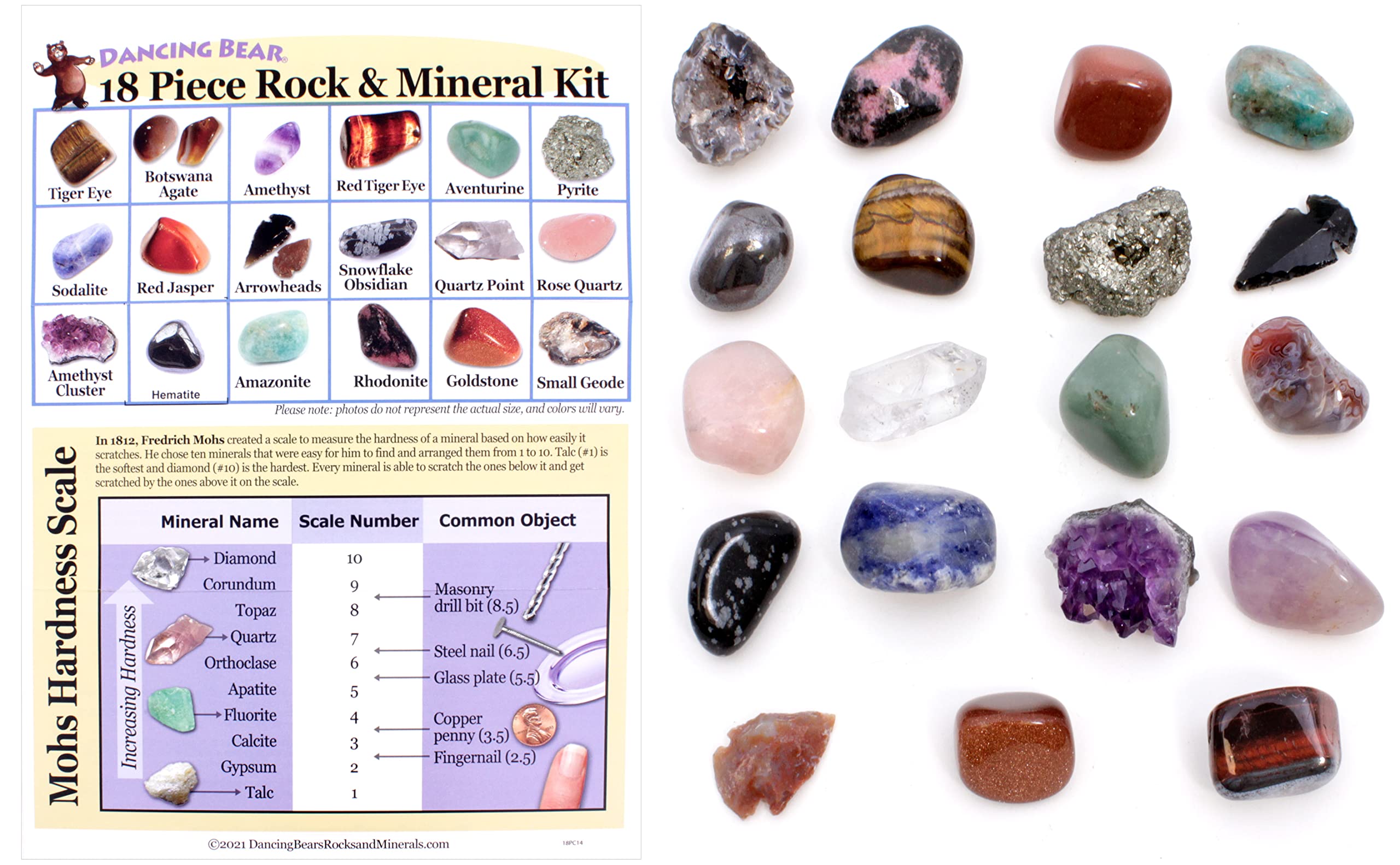 Dancing Bear educational rocks and minerals guide supports hands-on learning.