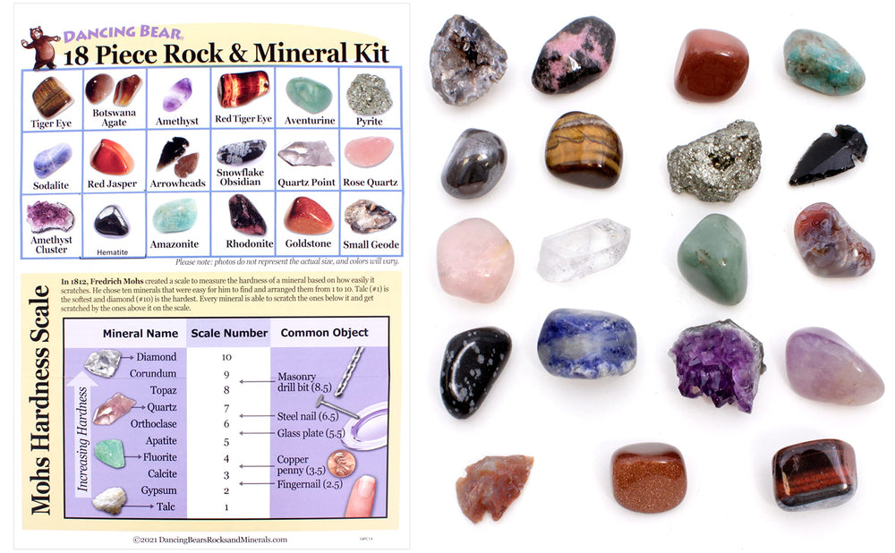 Dancing Bear educational rocks and minerals guide supports hands-on learning.