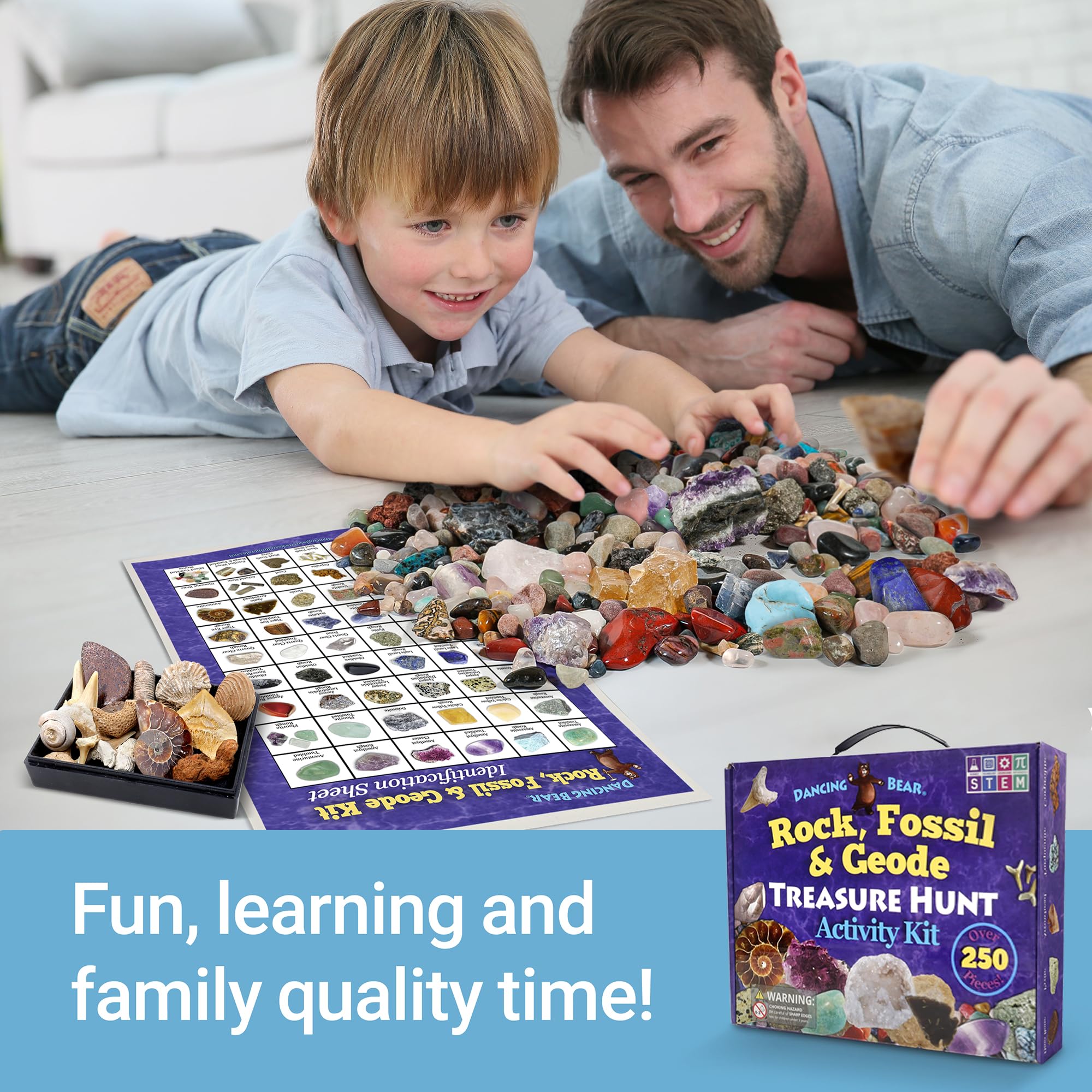 Dancing Bear shark teeth fossils for authentic texture and learning