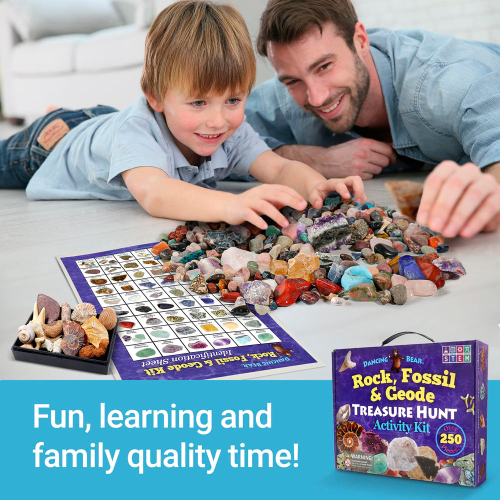 Dancing Bear shark teeth fossils for authentic texture and learning