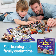 Dancing Bear shark teeth fossils for authentic texture and learning