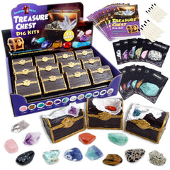 DANCING BEAR treasure chest with 12 gems for hands-on geology exploration.