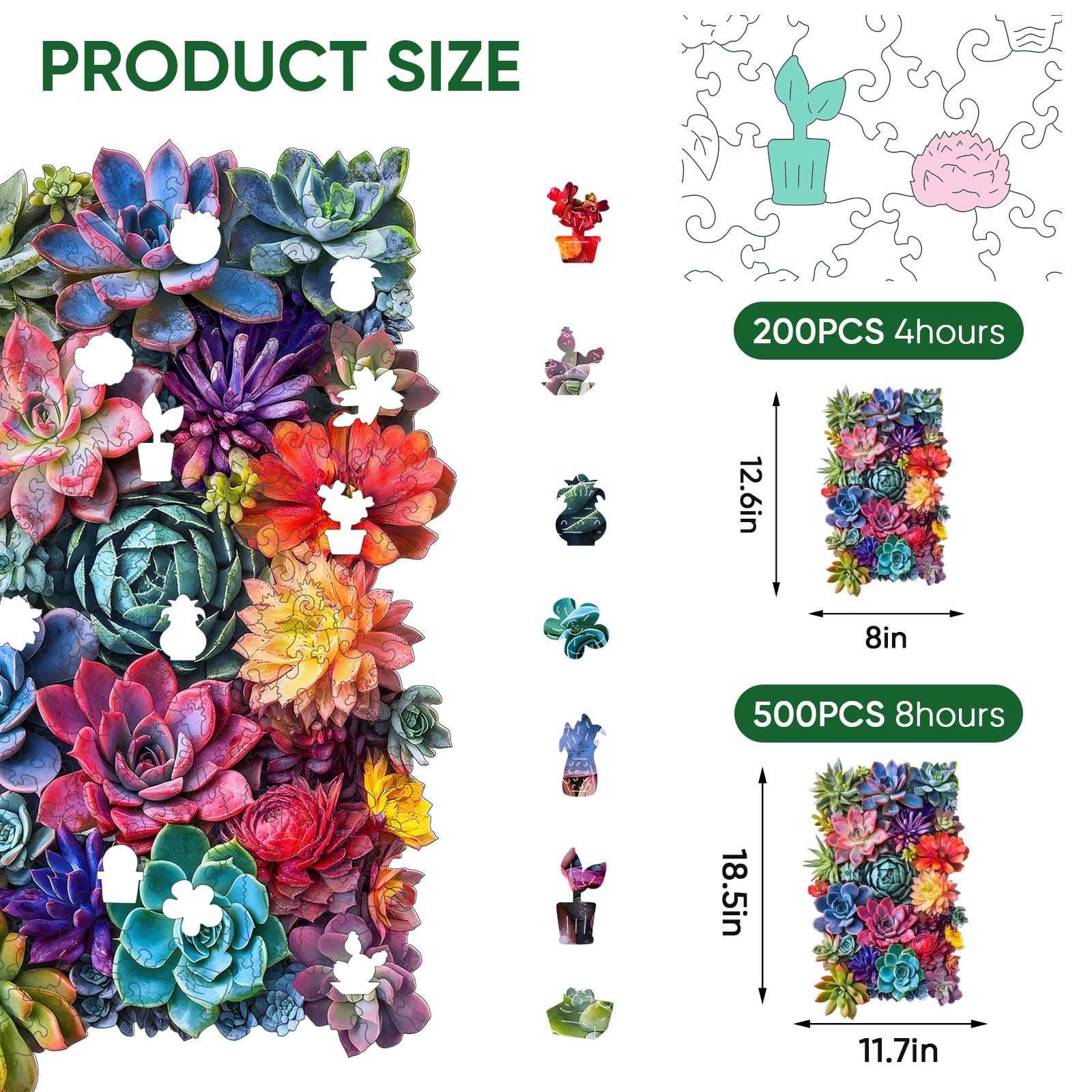 Delobil succulent puzzle art detail showing vibrant hand-painted patterns for visual interest.