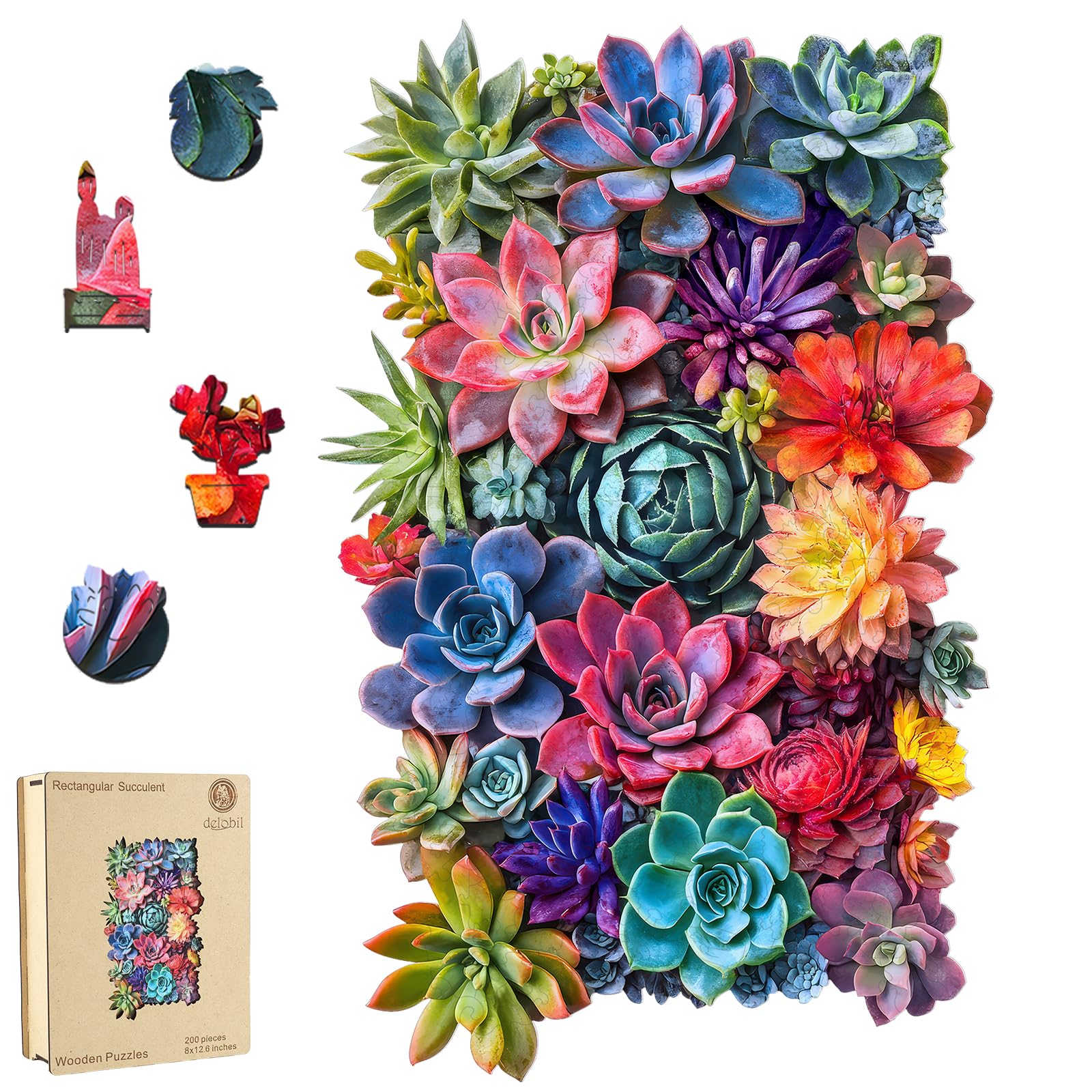 Delobil rectangular succulent puzzle with box and pieces for family play and display.