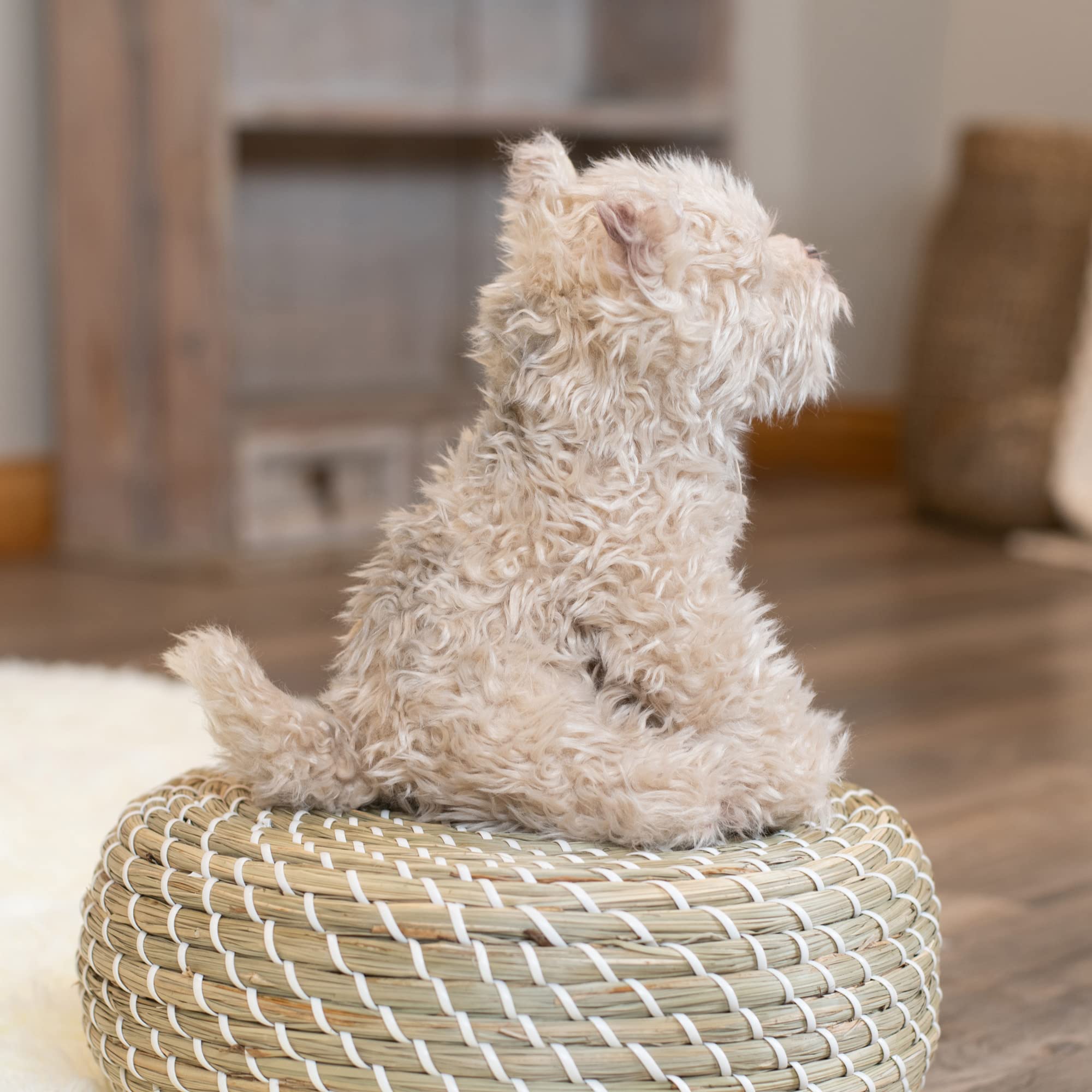 DEMDACO Animalcraft Chorkie Rescue plush soft fabric, easy surface wash.