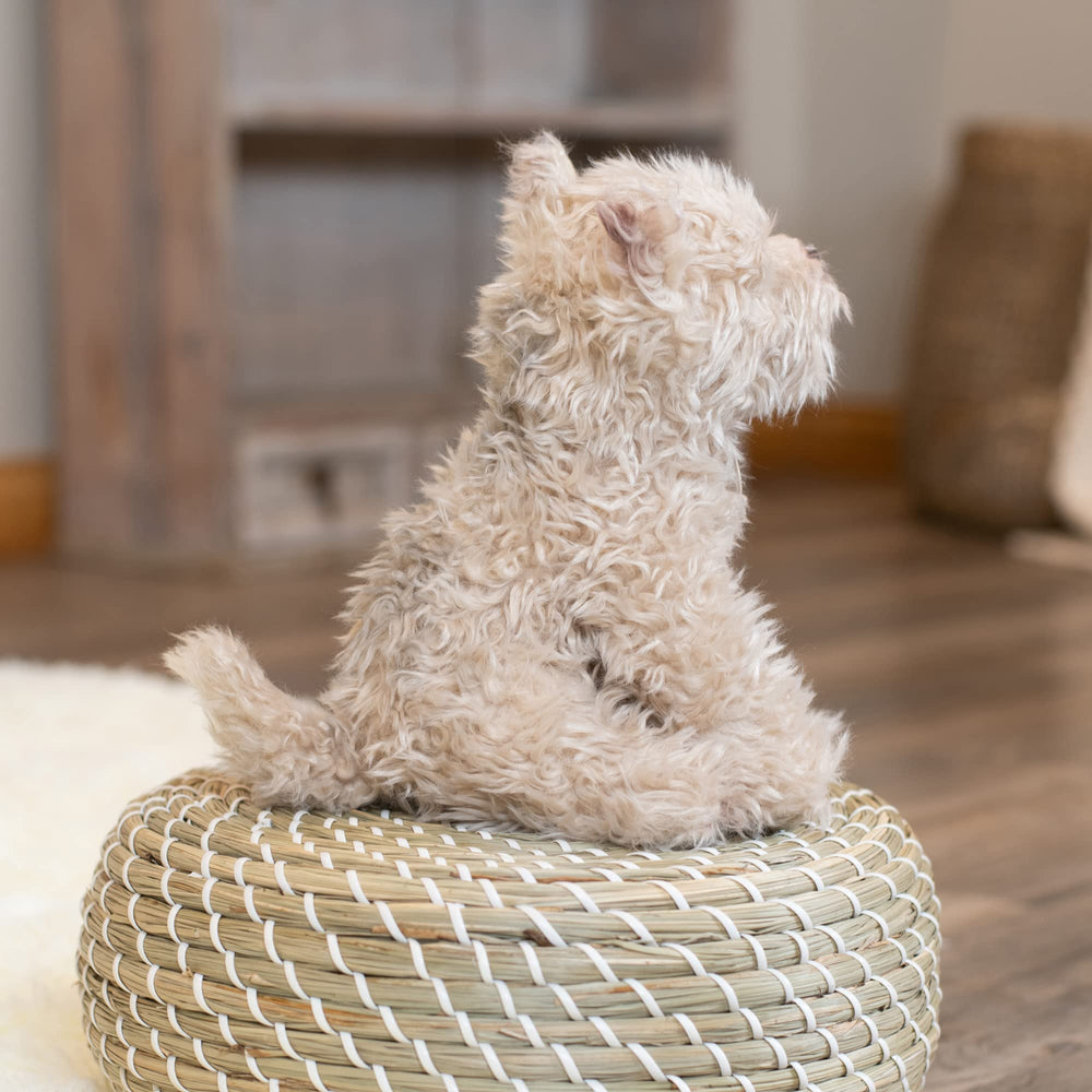 DEMDACO Animalcraft Chorkie Rescue plush soft fabric, easy surface wash.