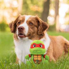 design-lab Raphael TMNT toy, officially licensed for fan-pet play.