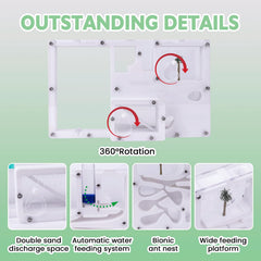 DigNew ant farm area layout highlights loading, nursery, and dump zones for easy care