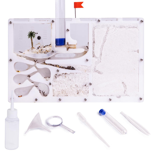DigNew ant farming castle setup shows spacious viewing and moving space for ants