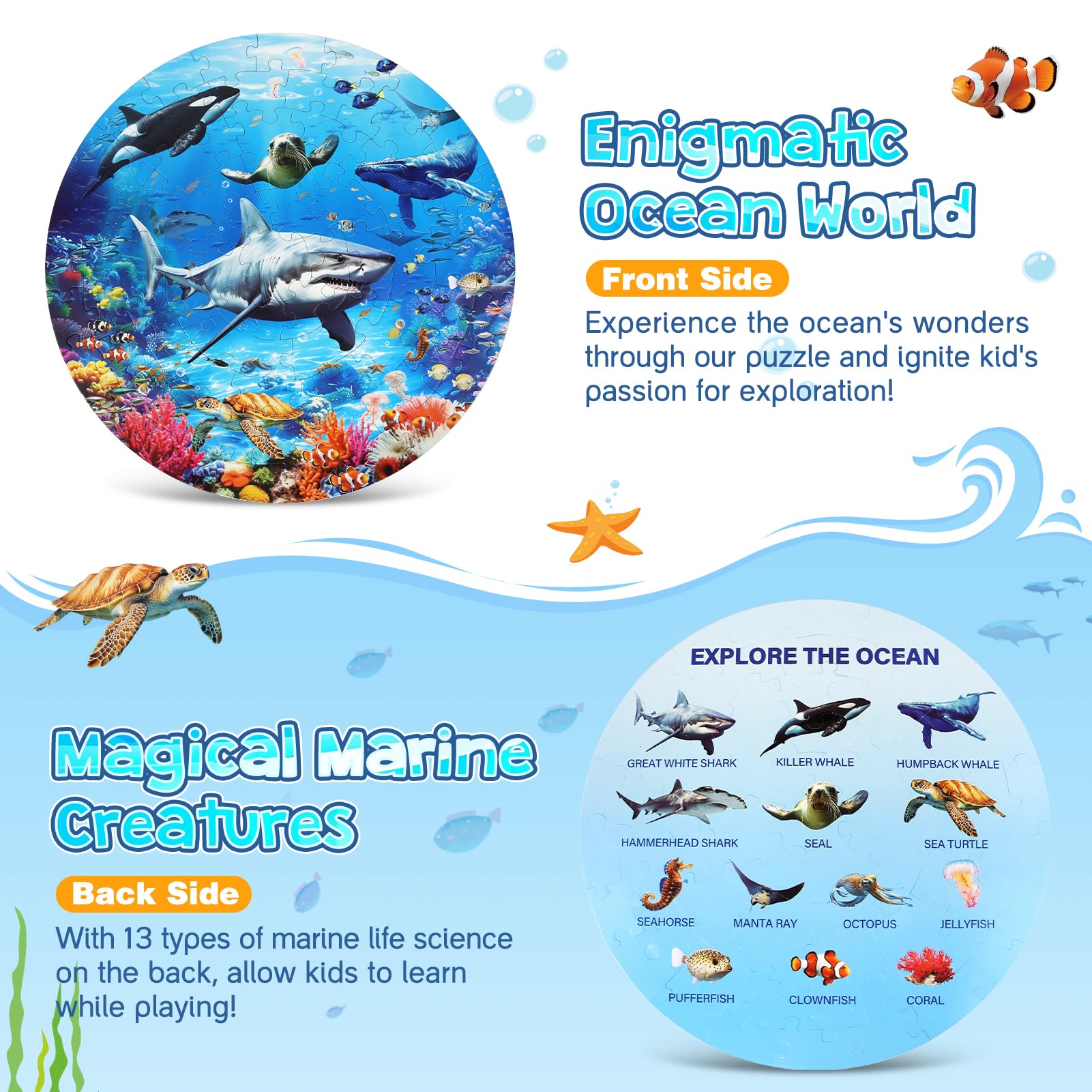 DIGOBAY backside educational marine life chart adds simple science context