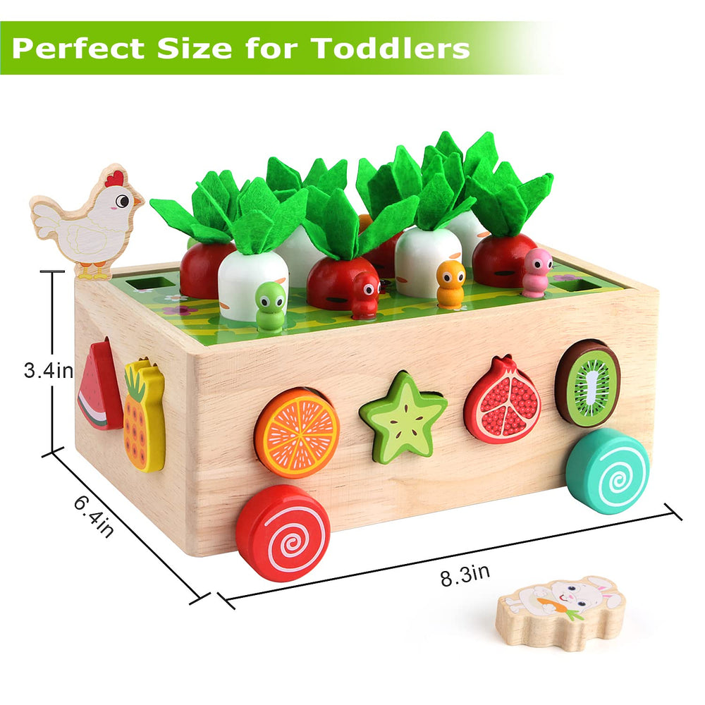 DIKAYI SKYFIELD fruit blocks help color and shape recognition during sorting.