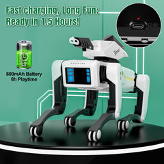 Dingdongwu Shoot Robot Dog kid-safe materials support gentle handling.