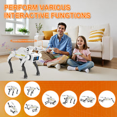 Dingdongwu Robot Dog remote-control shot shows responsive play.