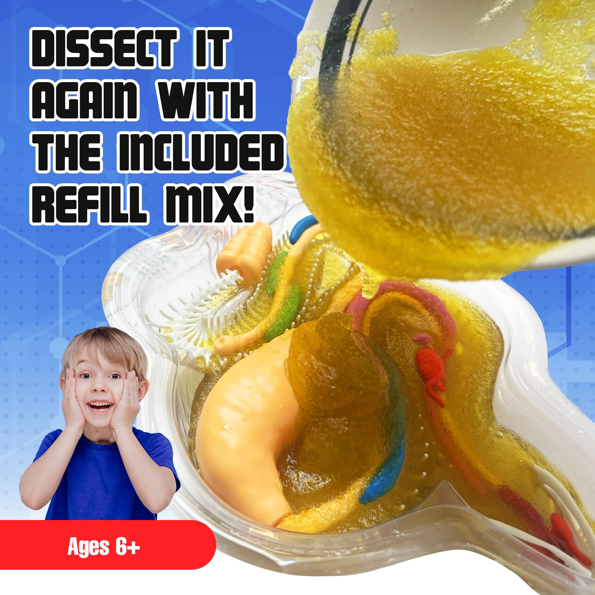 Dissect-It 14-page full-color instruction manual guides step-by-step experiments.