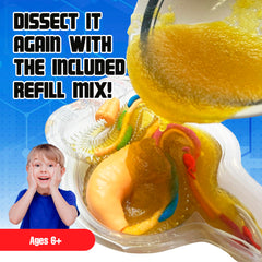 Dissect-It 14-page full-color instruction manual guides step-by-step experiments.