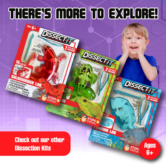Dissect-It Bat refill gel kits extend learning with extra dissections.