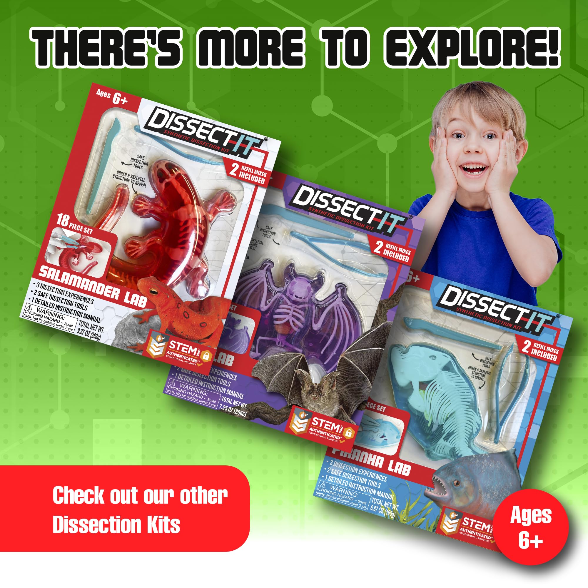 Dissect It odor-free materials promote calm, mess-free science play.