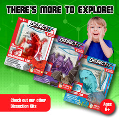 Dissect It odor-free materials promote calm, mess-free science play.