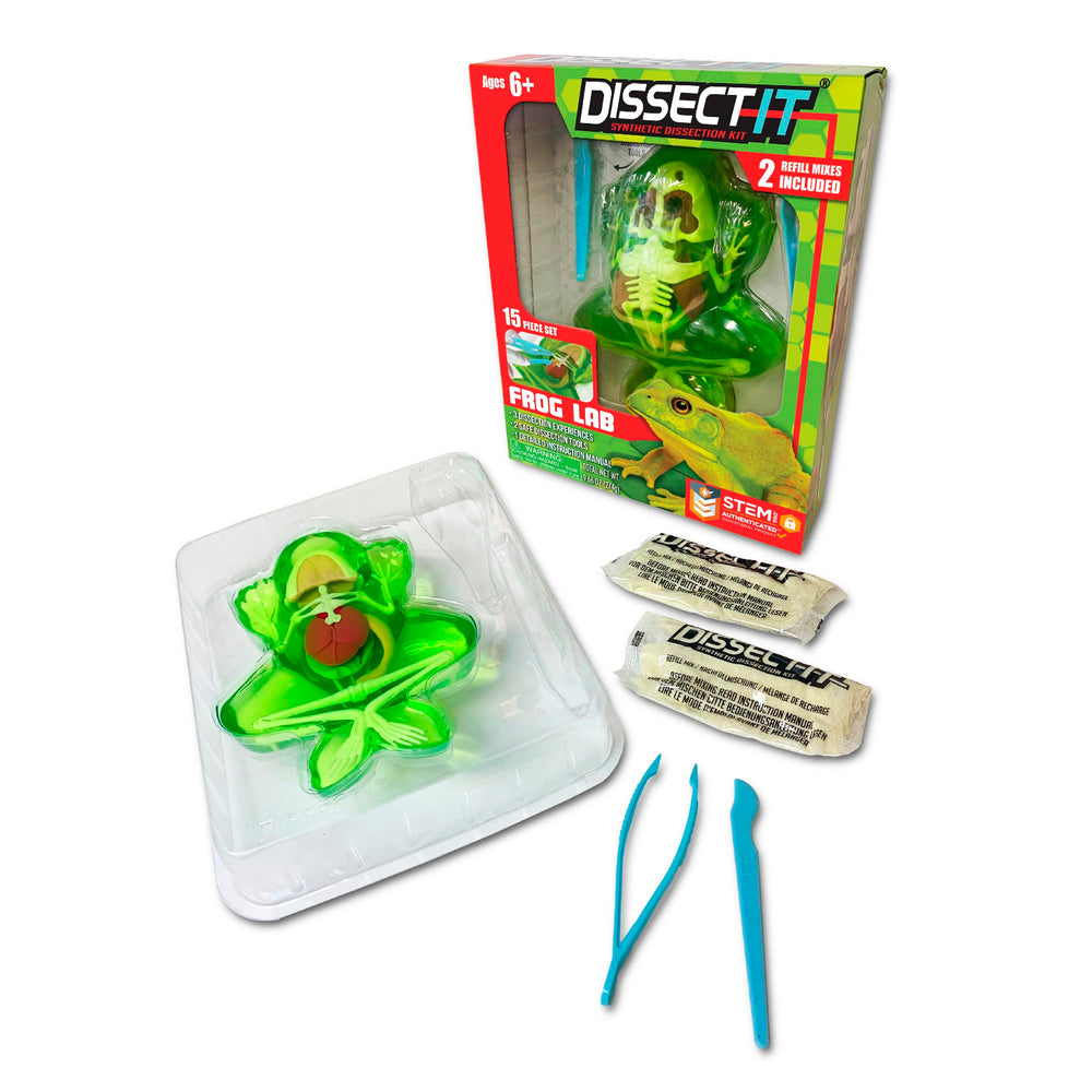 Dissect It frog dissection model for safe hands-on anatomy learning.