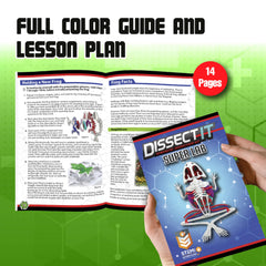 Dissect-It frog model showing visible veins and arteries for vascular anatomy