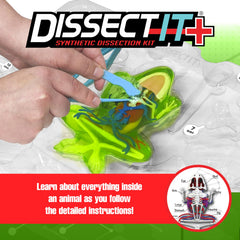 Dissect-It 14-page guide and bonus quiz for structured anatomy exploration