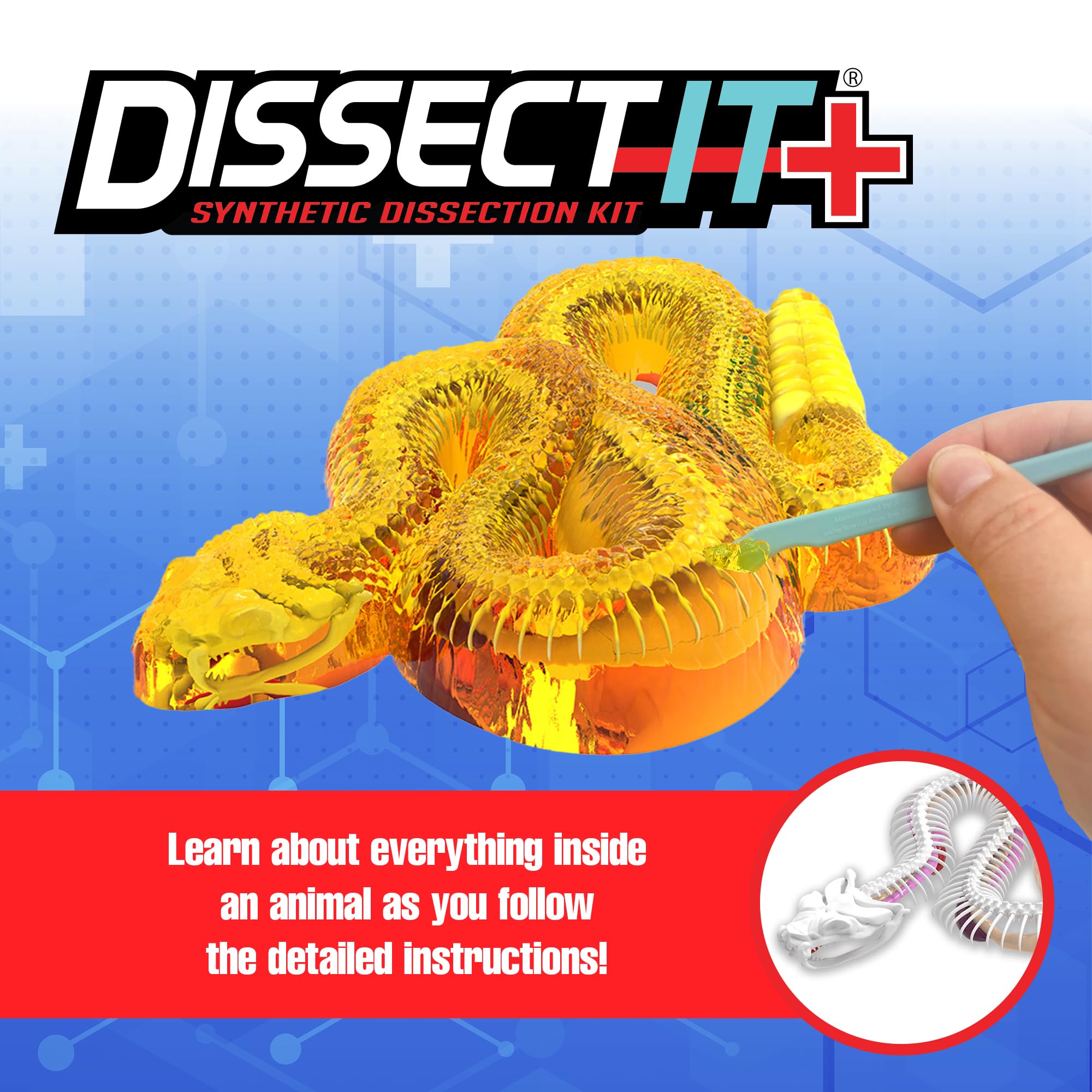 Dissect-It kids dissection tray and tools for mess-free science exploration.