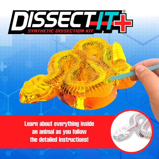 Dissect-It kids dissection tray and tools for mess-free science exploration.