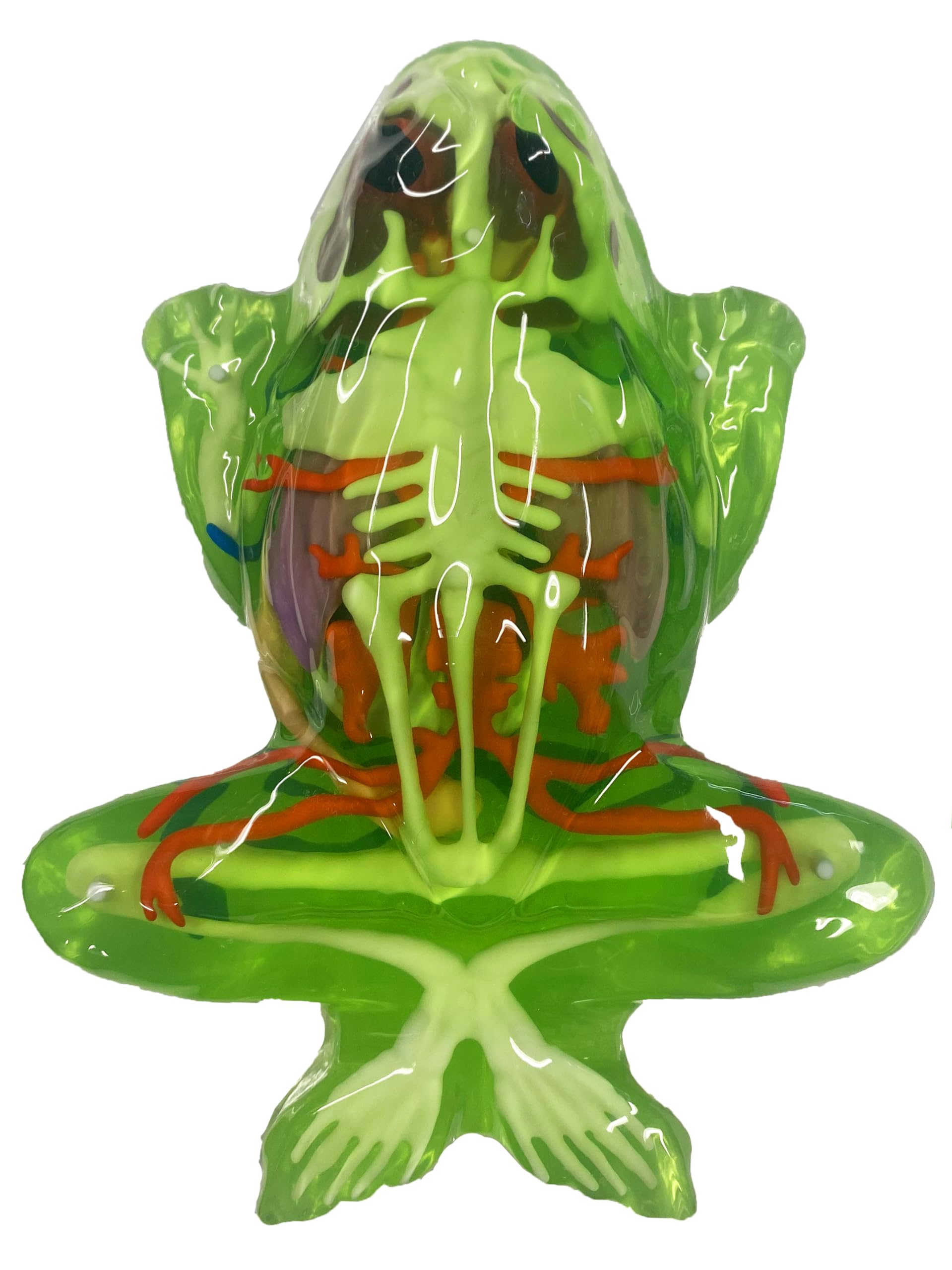 Dissect-It online learning plan supports guided STEM activities
