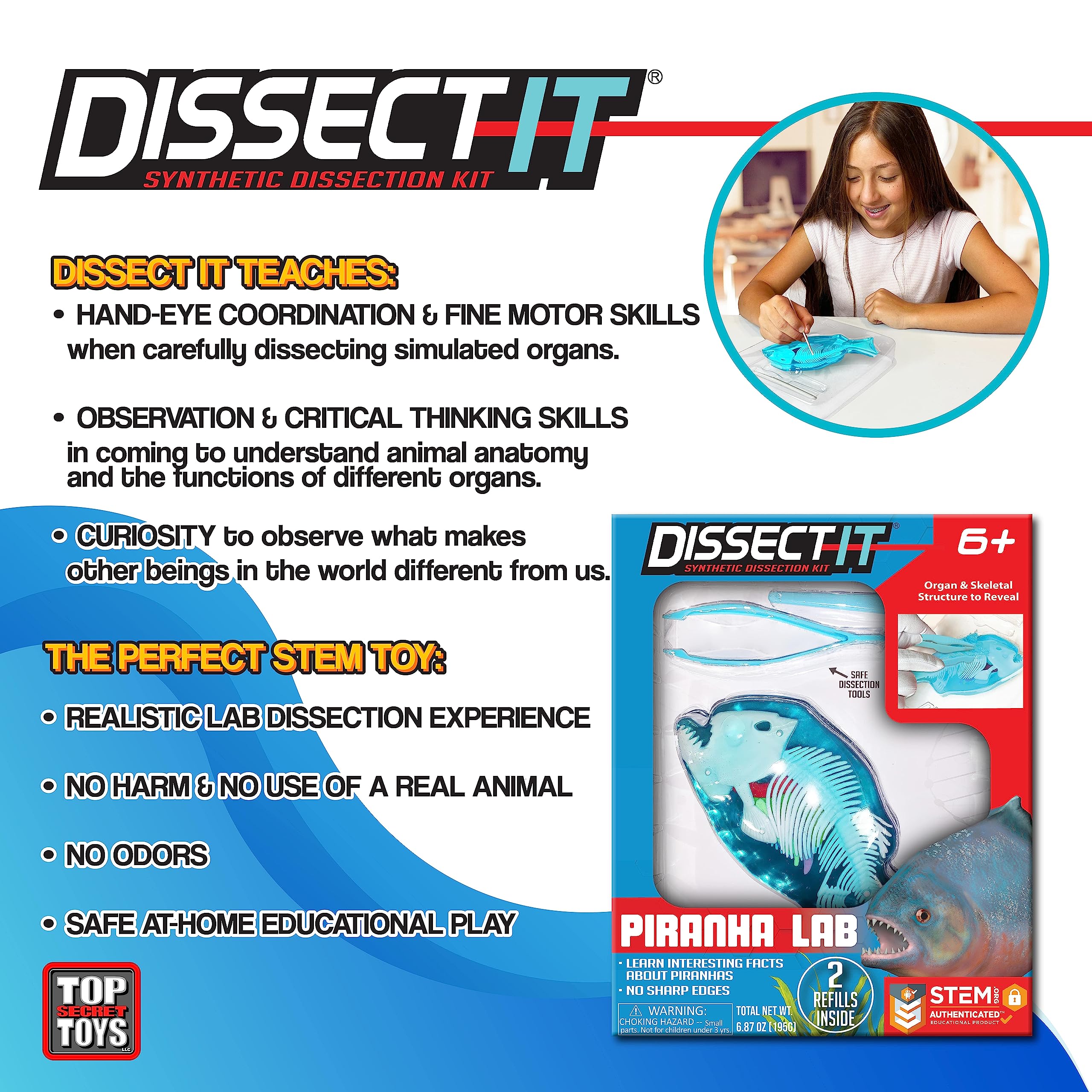 Dissect-It Piranha squishy carving close-up for satisfying, odor-free practice