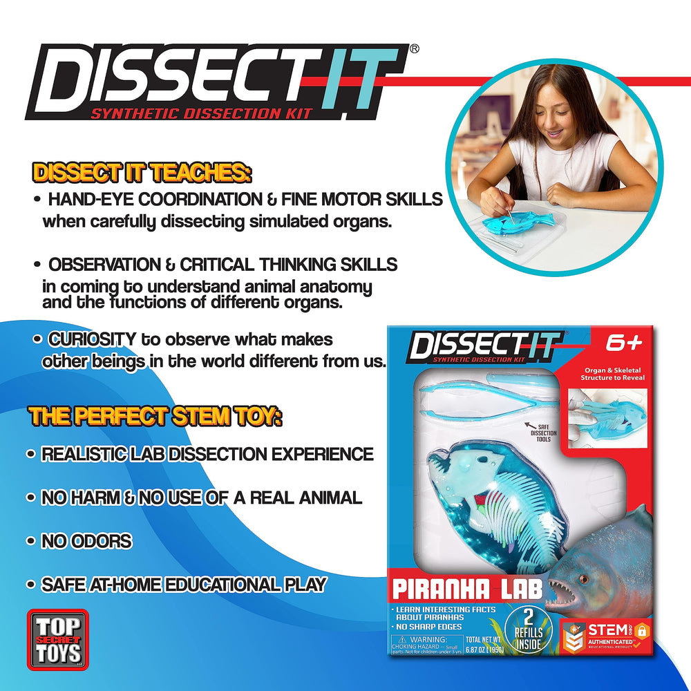 Dissect-It Piranha squishy carving close-up for satisfying, odor-free practice