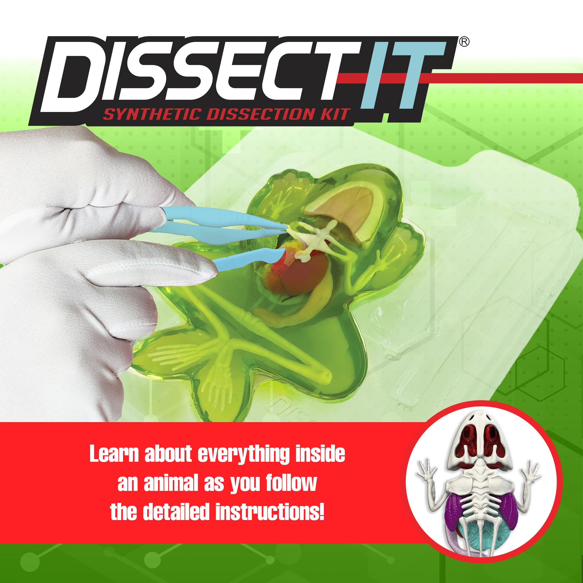 Dissect It plastic dissection tools ideal for precise, mess-free experiments.