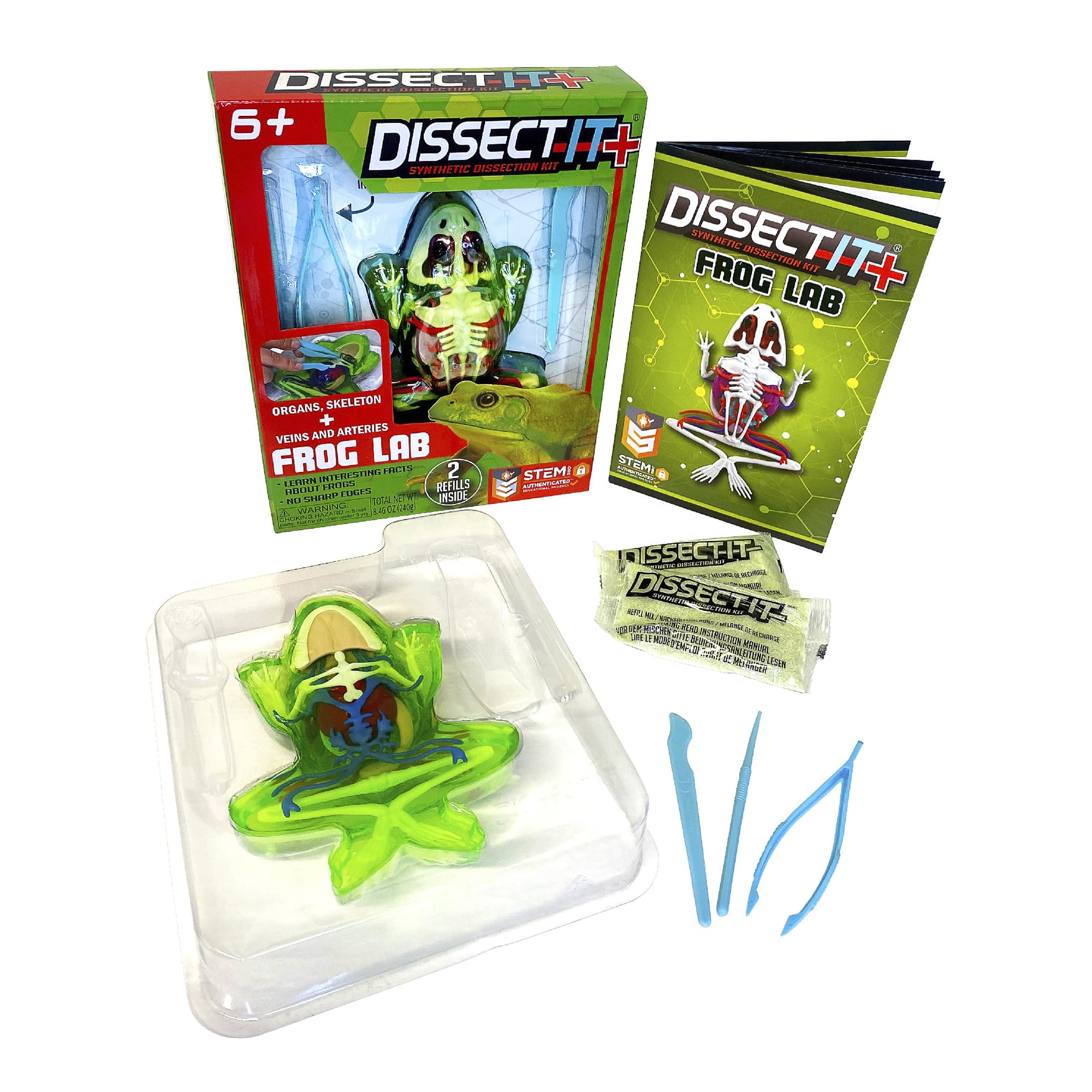 Dissect-It Plus Frog showing full skeletal structure for hands-on learning
