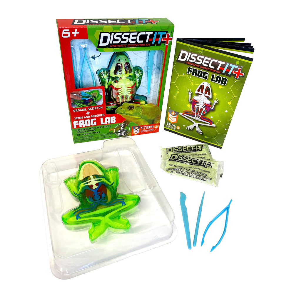 Dissect-It Plus Frog showing full skeletal structure for hands-on learning