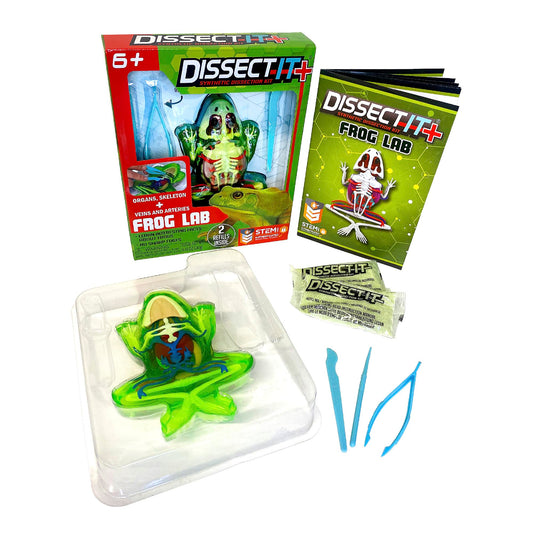 Dissect-It Plus Frog showing full skeletal structure for hands-on learning