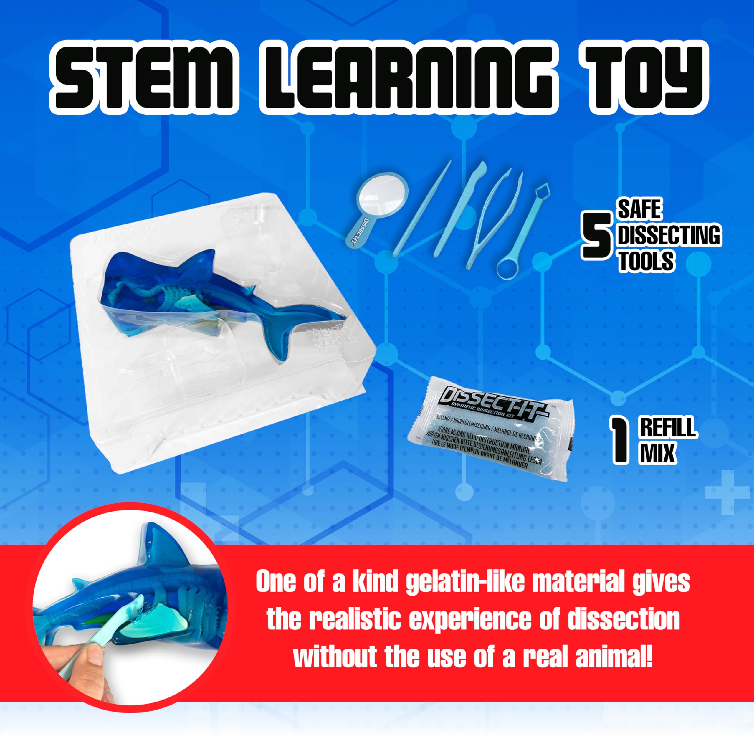 Dissect-It lab table and five tools support repeatable, classroom-ready dissections