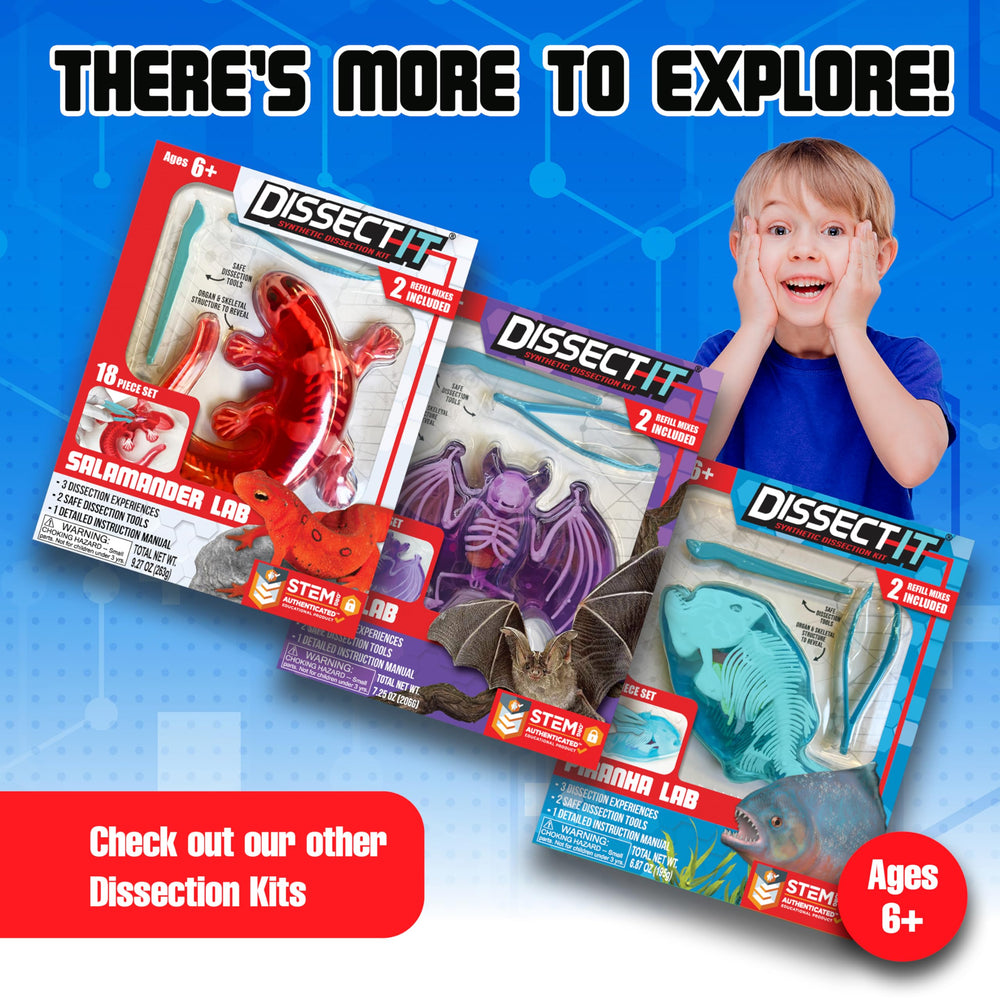 Dissect-It full-color guide with shark facts supports guided science activities