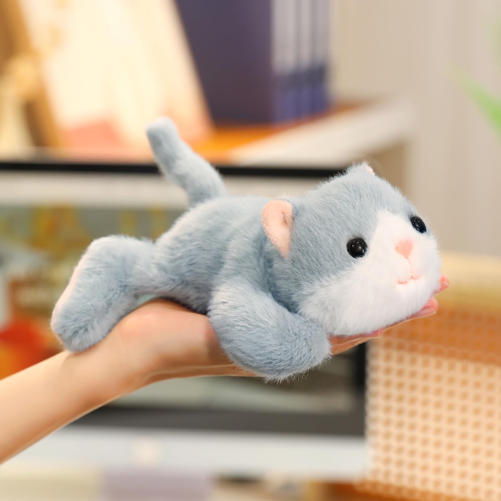 Ditucu cat plush decor-friendly, complements sofas and bedrooms