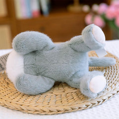 Ditucu cat plush gift-ready packaging for cat lovers