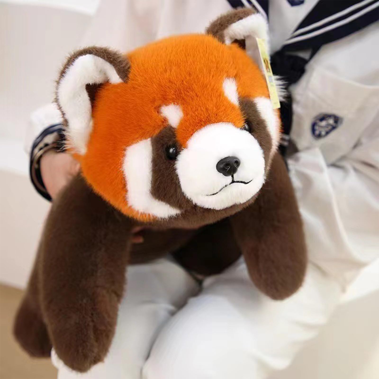 Ditucu red panda 22-inch huggable companion for bedtime stories.