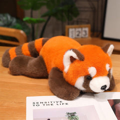 Ditucu red panda arrives vacuum-packed, fluff it to restore loft.
