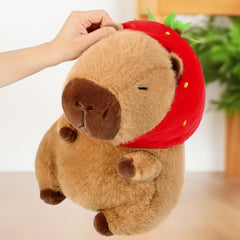 Ditucu plush arriving vacuum-packed, easy to fluff and revive.