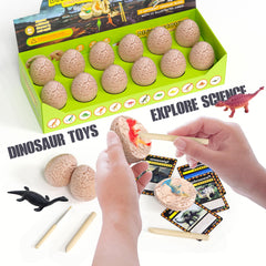 DoDoMagxanadu dinosaur eggs collection showing multiple eggs for discovery.